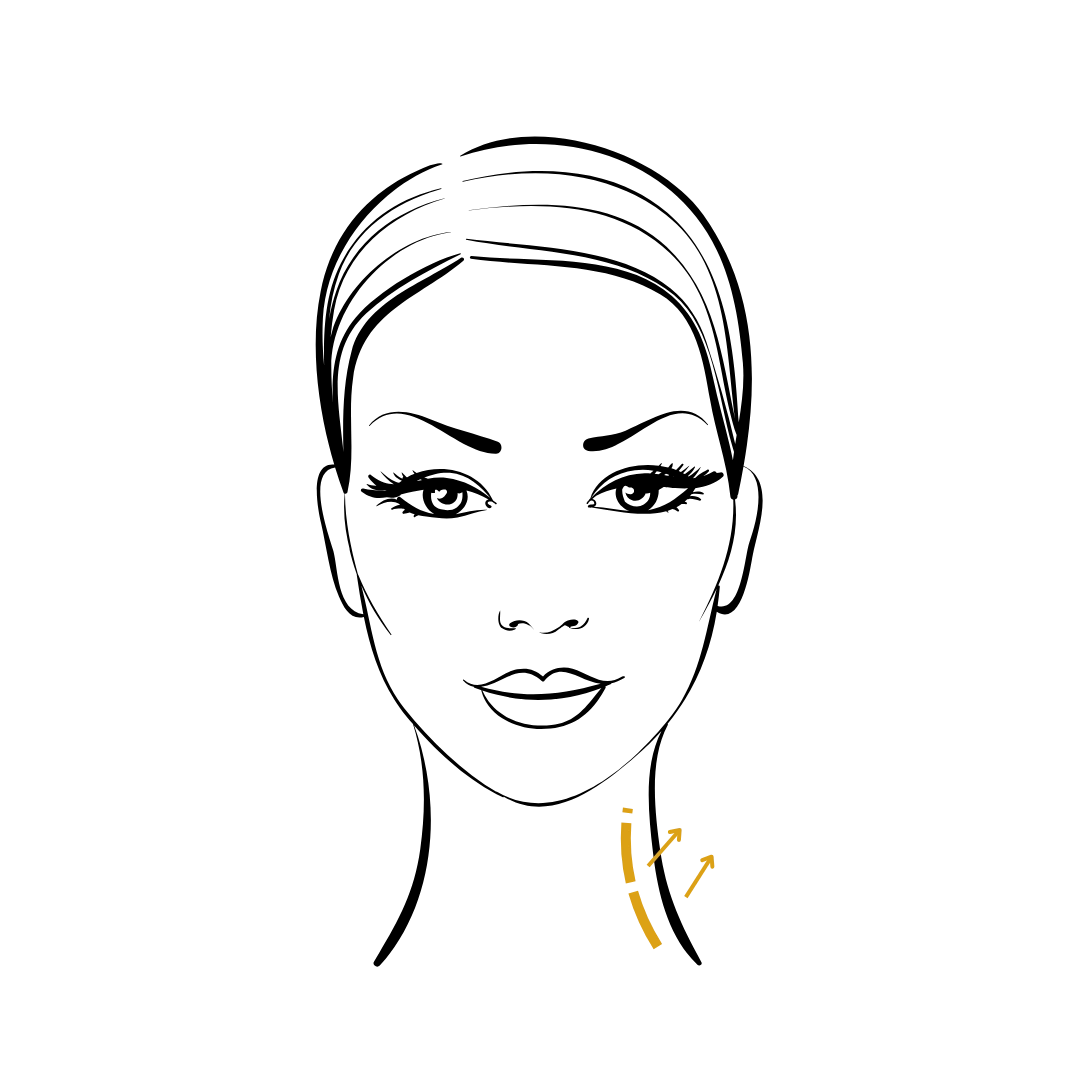 Woman's body illustration highlighting the location of the Rhytidectomy Surgery